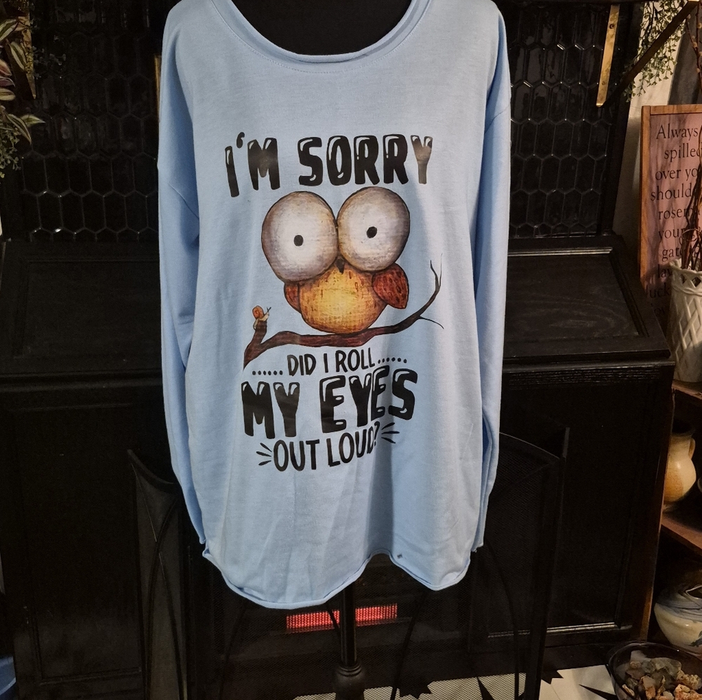 Blue Graphic Owl Sweatshirt Size Large